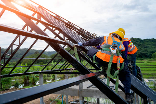 Best Residential Roofing Contractor  in Chrisman, IL