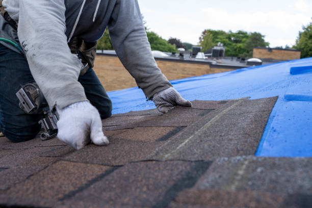 Best Commercial Roofing Services  in Chrisman, IL