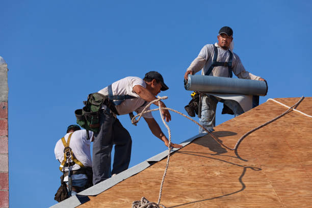 Best Best Roofing Contractors  in Chrisman, IL