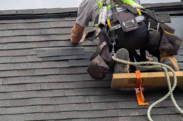 Best Emergency Roof Repair  in Chrisman, IL