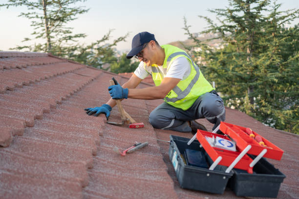 Best Roof Inspection Near Me  in Chrisman, IL