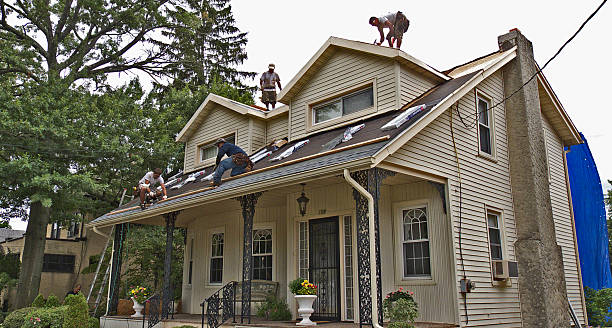 Best Storm Damage Roof Repair  in Chrisman, IL