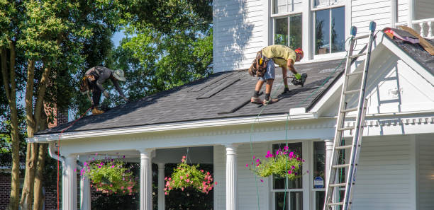 Best Roof Repair Services  in Chrisman, IL